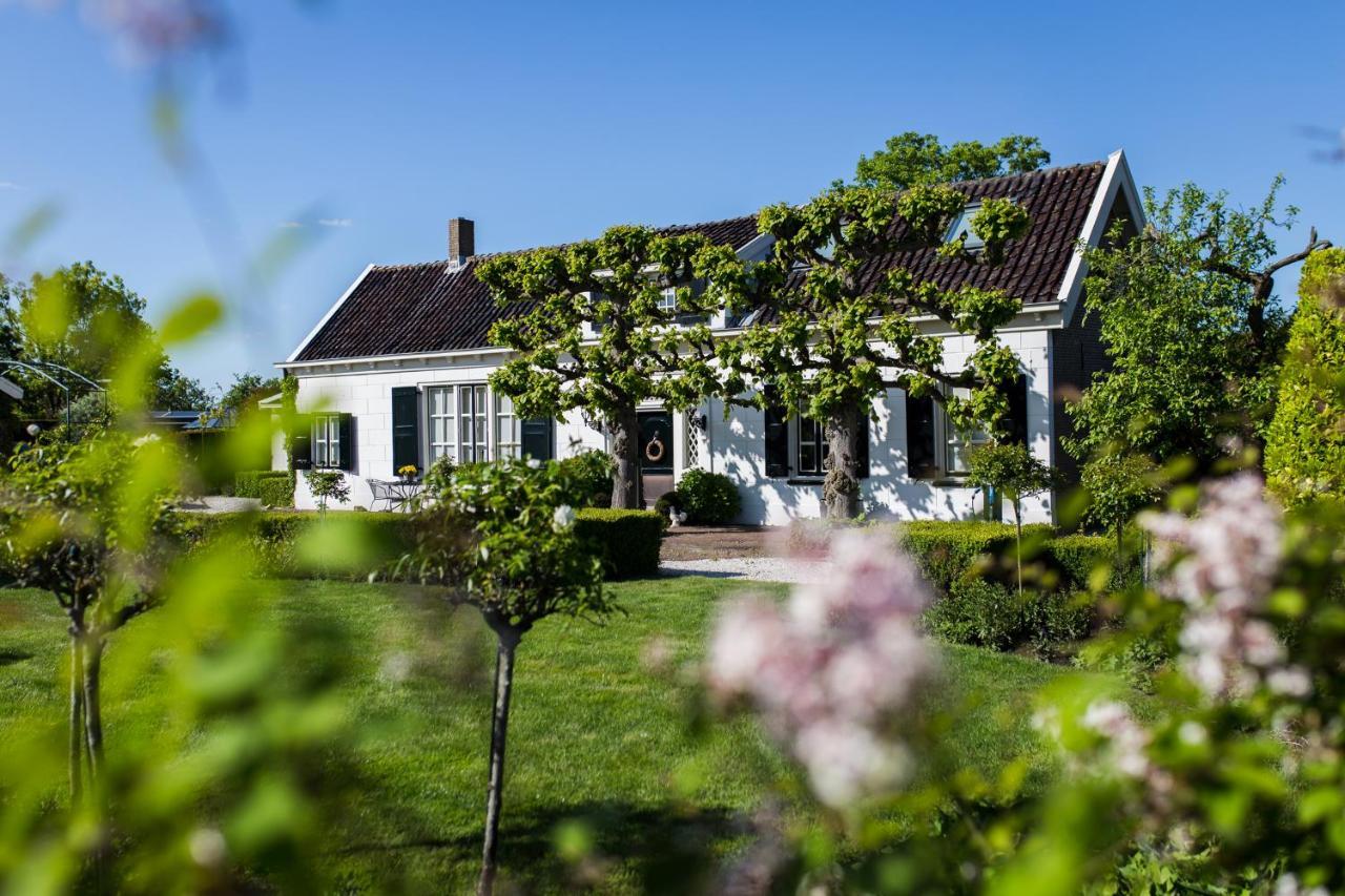 B&B Wilhelmina'S Cottage 里德凯尔克 外观 照片